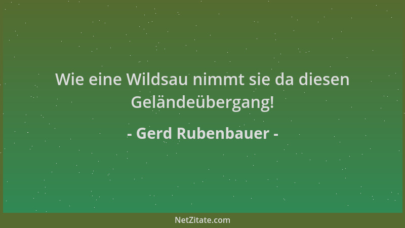 Gerd Rubenbauer - Wie eine Wildsau nimmt sie da diesen Geländeübergang!...