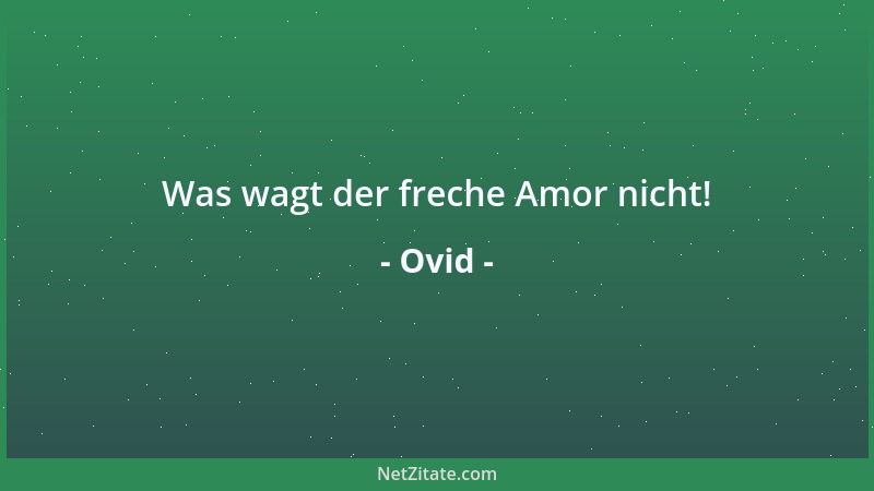 Ovid - Was wagt der freche Amor nicht!...