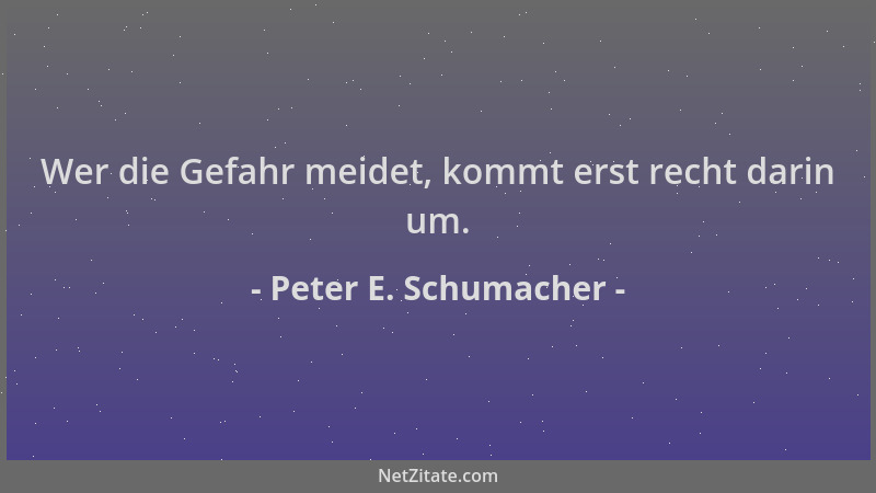 Peter E. Schumacher - Wer die Gefahr meidet, kommt erst recht darin um....
