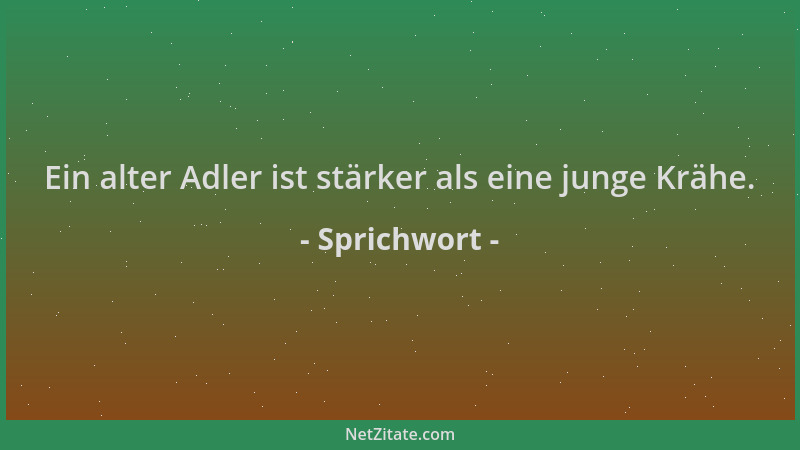 Sprichwort - Ein alter Adler ist stärker als eine junge Krähe....