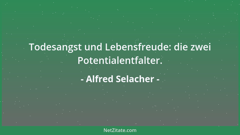 Alfred Selacher - Todesangst und Lebensfreude: die zwei Potentialentfalter....