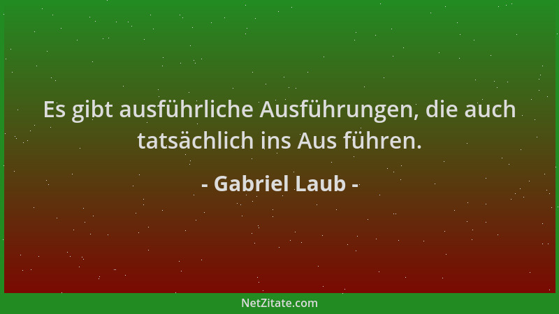 Gabriel Laub - Es gibt ausführliche Ausführungen, die auch tatsächlich ins Aus führen....