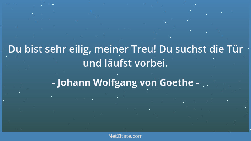 Johann Wolfgang von Goethe - Du bist sehr eilig, meiner Treu! Du suchst die Tür und läufst vorbei....