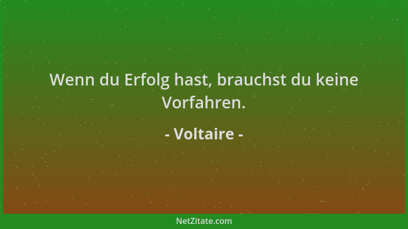 Voltaire - Wenn du Erfolg hast, brauchst du keine Vorfahren....