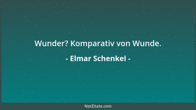 Elmar Schenkel - Wunder? Komparativ von Wunde....