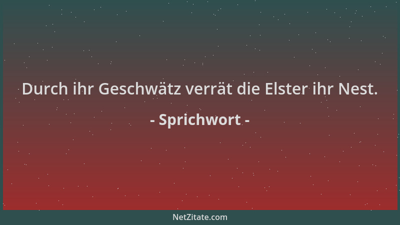 Sprichwort - Durch ihr Geschwätz verrät die Elster ihr Nest....