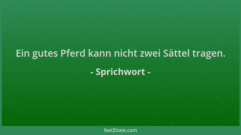 Sprichwort - Ein gutes Pferd kann nicht zwei Sättel tragen....