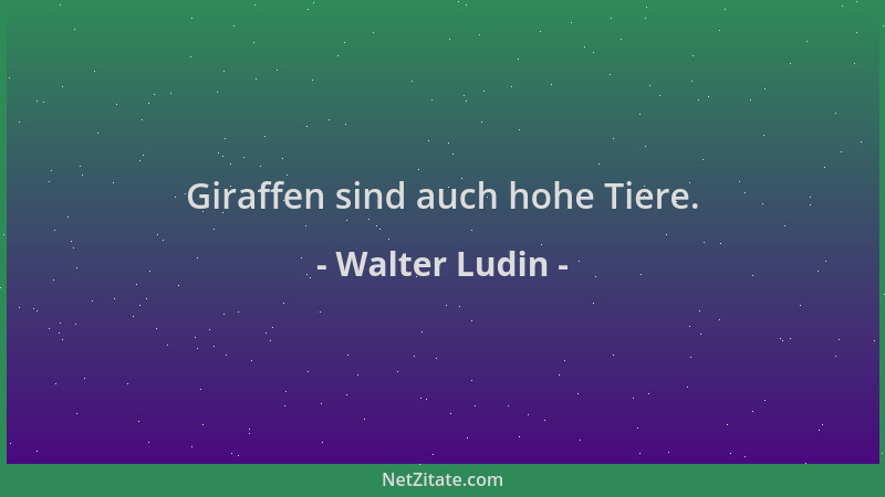 Walter Ludin - Giraffen sind auch hohe Tiere....