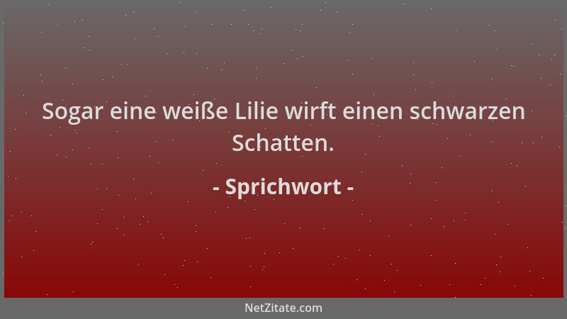 Sprichwort - Sogar eine weiße Lilie wirft einen schwarzen Schatten....