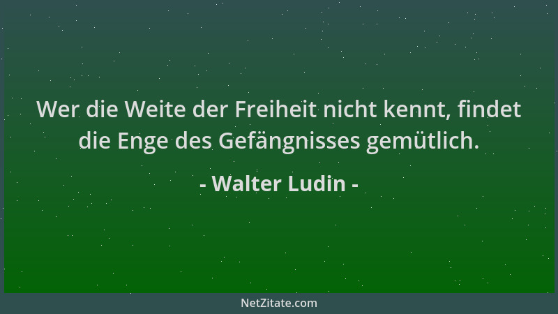 Walter Ludin - Wer die Weite der Freiheit nicht kennt, findet die Enge des Gefängnisses gemütlich....
