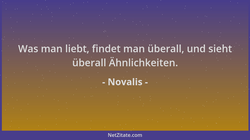 Novalis - Was man liebt, findet man überall, und sieht überall Ähnlichkeiten....