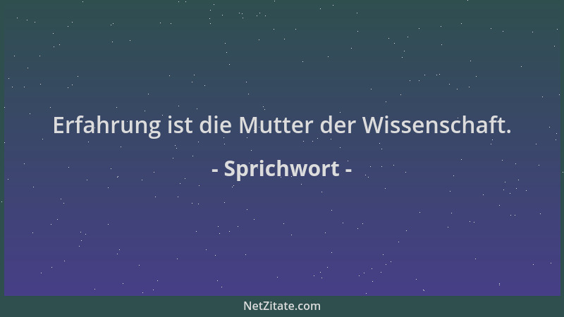 Sprichwort - Erfahrung ist die Mutter der Wissenschaft....