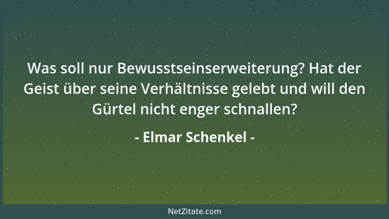 Elmar Schenkel - Was soll nur Bewusstseinserweiterung? Hat der Geist über seine Verhältnisse gelebt und will den Gürtel nic...