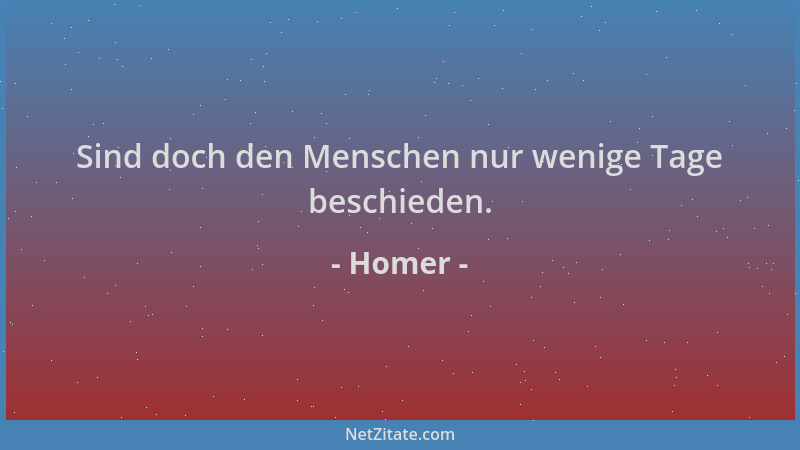 Homer - Sind doch den Menschen nur wenige Tage beschieden....