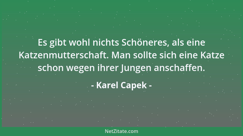 Karel Capek - Es gibt wohl nichts Schöneres, als eine Katzenmutterschaft. Man sollte sich eine Katze schon wegen ihrer Jung...