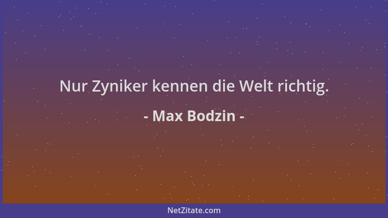 Max Bodzin - Nur Zyniker kennen die Welt richtig....