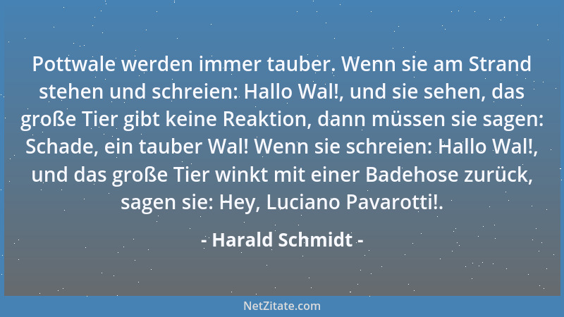 Harald Schmidt - Pottwale werden immer tauber. Wenn sie am Strand stehen und schreien: Hallo Wal!, und sie sehen, das große...