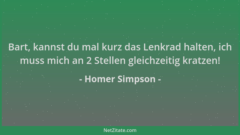 Homer Simpson - Bart, kannst du mal kurz das Lenkrad halten, ich muss mich an 2 Stellen gleichzeitig kratzen!...