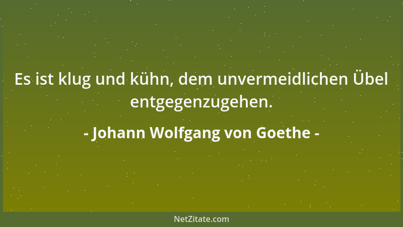 Johann Wolfgang von Goethe - Das Glück des Genies: wenn es zu Zeiten des Ernstes geboren wird....