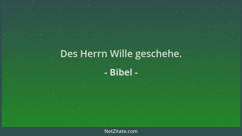 Bibel - Des Herrn Wille geschehe....