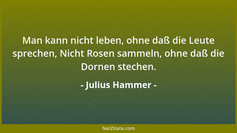 Julius Hammer - Eine Übersetzung ist nur die Rückseite eines schönen Teppichs....