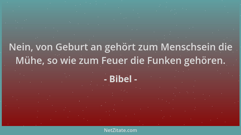 Bibel - Nein, von Geburt an gehört zum Menschsein die Mühe, so wie zum Feuer die Funken gehören....