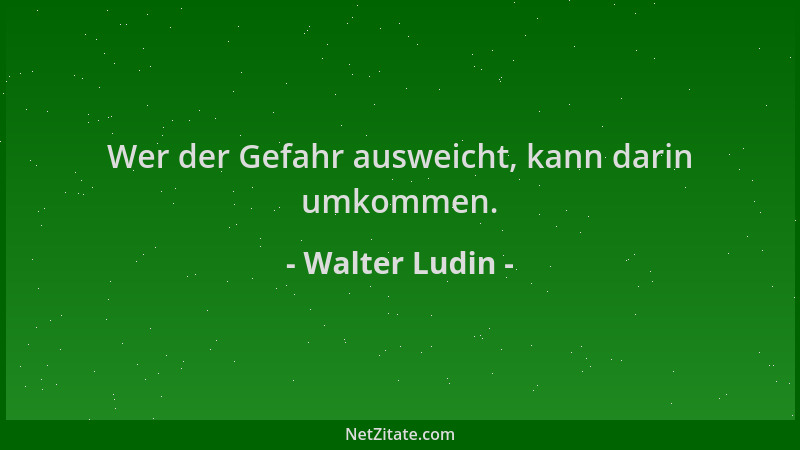 Walter Ludin - Wer der Gefahr ausweicht, kann darin umkommen....