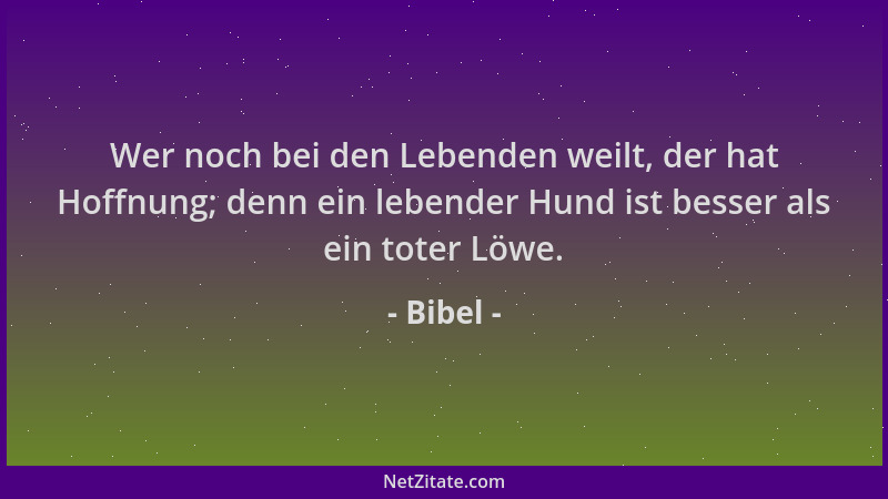 Bibel - Wer noch bei den Lebenden weilt, der hat Hoffnung; denn ein lebender Hund ist besser als ein toter Löwe....