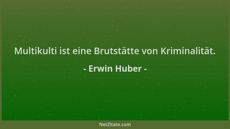 Erwin Huber - Multikulti ist eine Brutstätte von Kriminalität....