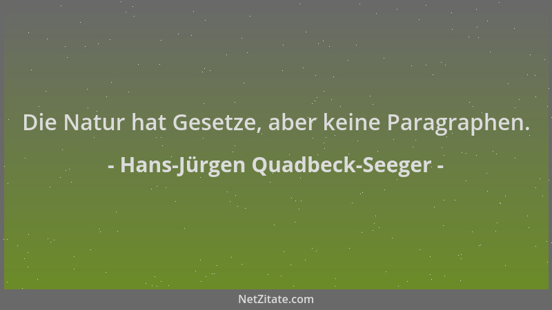 Hans-Jürgen Quadbeck-Seeger - Die Natur hat Gesetze, aber keine Paragraphen....