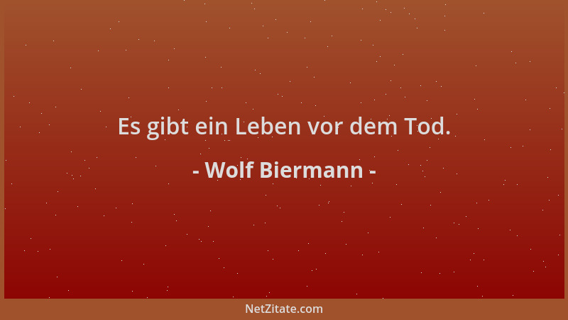 Wolf Biermann - Es gibt ein Leben vor dem Tod....