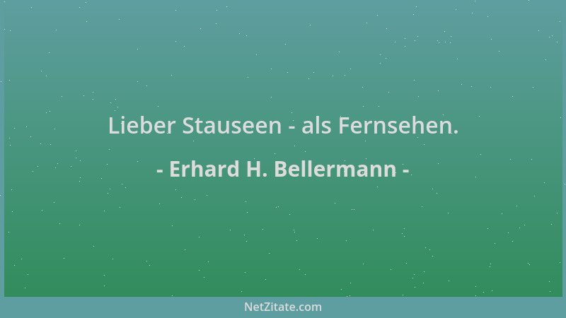 Erhard H. Bellermann - Lieber Stauseen - als Fernsehen....
