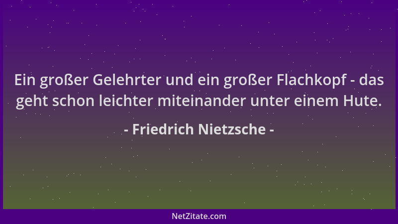 Friedrich Nietzsche - Ein großer Gelehrter und ein großer Flachkopf - das geht schon leichter miteinander unter einem Hute....