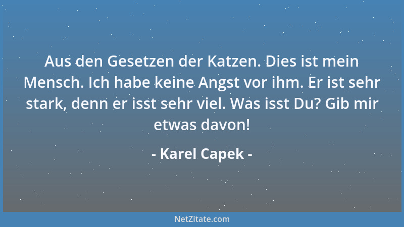 Karel Capek - Aus den Gesetzen der Katzen. Dies ist mein Mensch. Ich habe keine Angst vor ihm. Er ist sehr stark, denn er i...