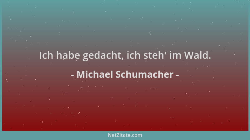 Michael Schumacher - Ich habe gedacht, ich steh ' im Wald....
