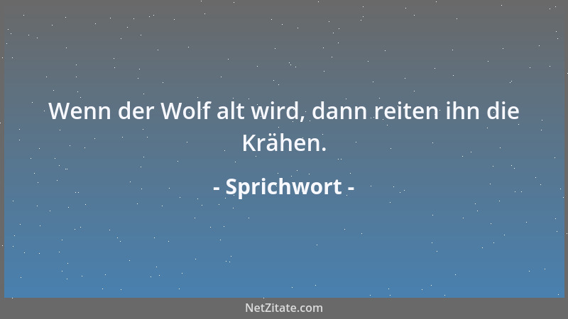 Sprichwort - Folge den Bienen und finde Honig....