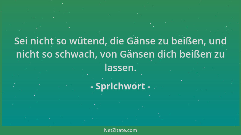 Sprichwort - Sei nicht so wütend, die Gänse zu beißen, und nicht so schwach, von Gänsen dich beißen zu lassen....