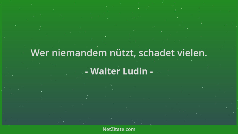 Walter Ludin - Wer niemandem nützt, schadet vielen....