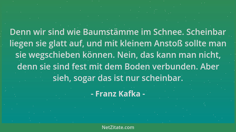Franz Kafka - Denn wir sind wie Baumstämme im Schnee. Scheinbar liegen sie glatt auf, und mit kleinem Anstoß sollte man sie...