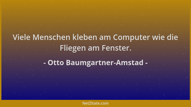 Otto Baumgartner-Amstad - Viele Menschen kleben am Computer wie die Fliegen am Fenster....
