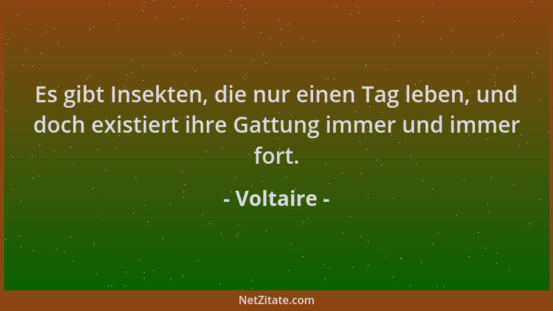 Voltaire - Es gibt Insekten, die nur einen Tag leben, und doch existiert ihre Gattung immer und immer fort....