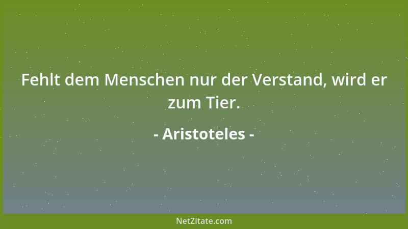 Aristoteles - Fehlt dem Menschen nur der Verstand, wird er zum Tier....