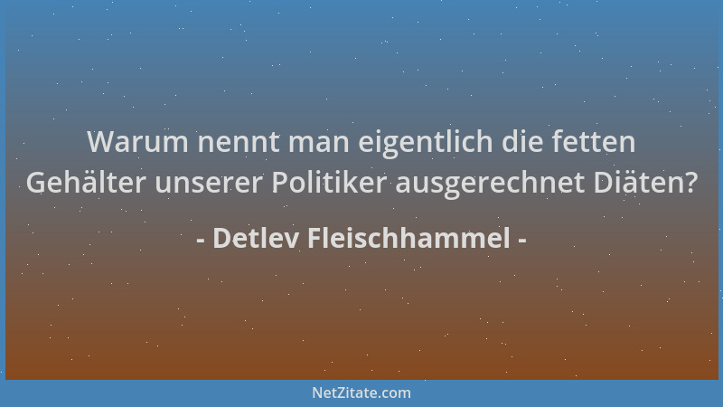Detlev Fleischhammel - Warum nennt man eigentlich die fetten Gehälter unserer Politiker ausgerechnet Diäten?...