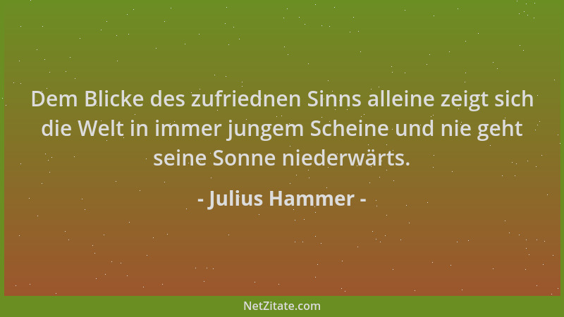 Julius Hammer - Dem Blicke des zufriednen Sinns alleine zeigt sich die Welt in immer jungem Scheine und nie geht seine Sonn...