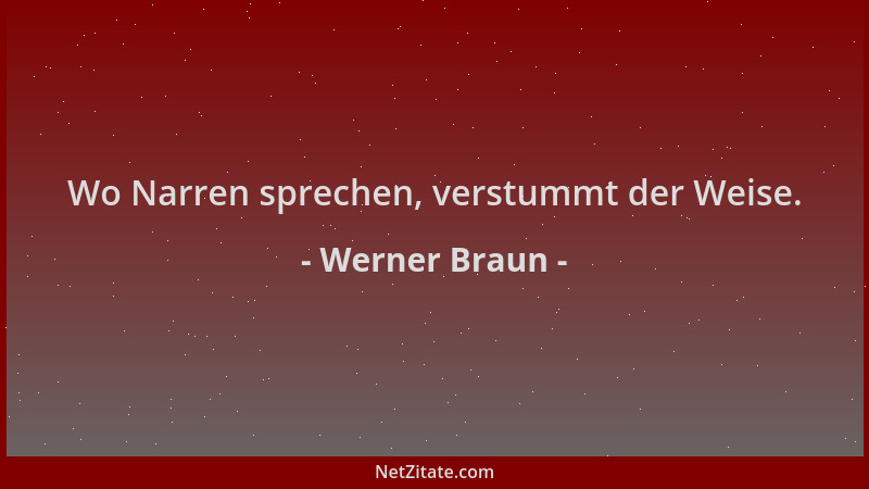 Werner Braun - Wo Narren sprechen, verstummt der Weise....