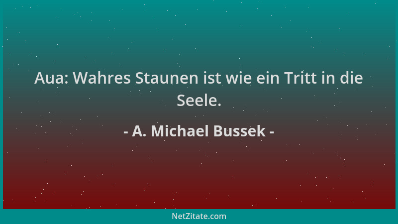 A. Michael Bussek - Aua: Wahres Staunen ist wie ein Tritt in die Seele....