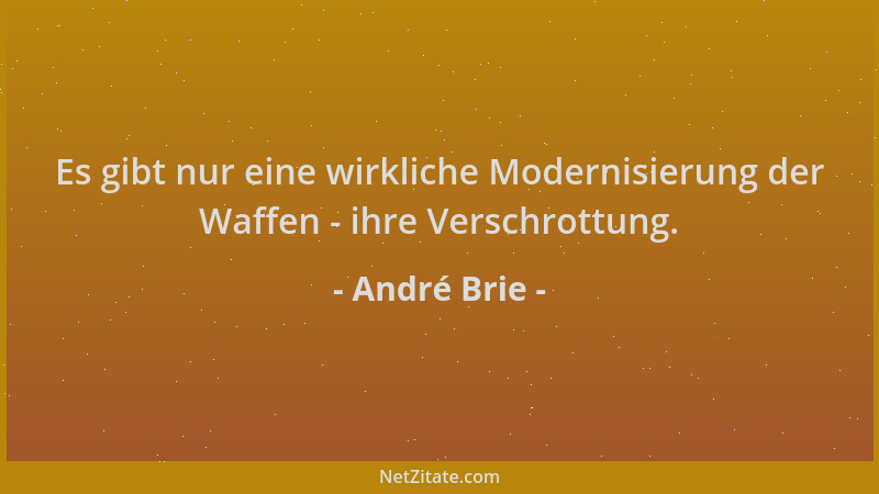 André Brie - Es gibt nur eine wirkliche Modernisierung der Waffen - ihre Verschrottung....