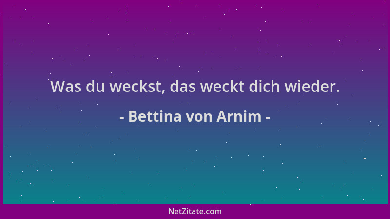 Bettina von Arnim - Was du weckst, das weckt dich wieder....
