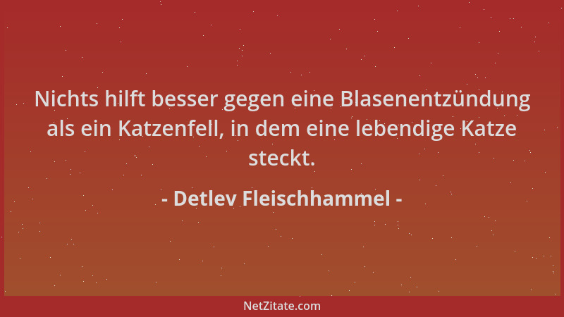 Detlev Fleischhammel - Nichts hilft besser gegen eine Blasenentzündung als ein Katzenfell, in dem eine lebendige Katze stec...