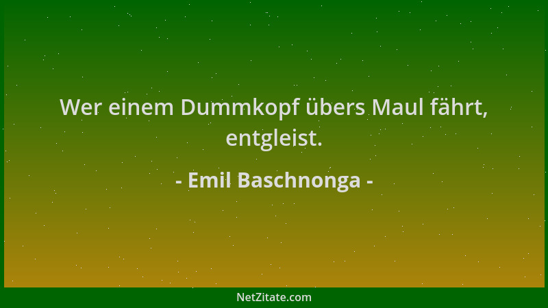 Emil Baschnonga - Wer einem Dummkopf übers Maul fährt, entgleist....